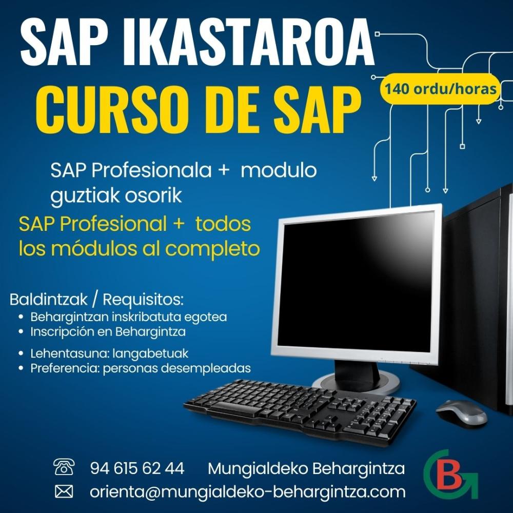 Imagen SAP IKASTAROA